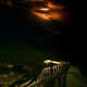 Image for article titled Shooting Challenge Sunset Gallery 3